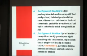 foto Edukasi Mitos dan Fakta Seputar ASI 21 asi_13