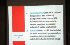 foto Edukasi Mitos dan Fakta Seputar ASI 22 asi_14